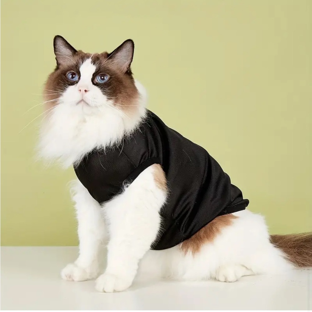 “Trouble Maker” Breathable Mesh Vest T-Shirt Outfit for Mini/Sm Pet Dog (XS) - Picture 3 of 7